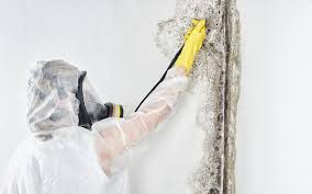 Best HVAC Mold Inspection and Cleaning  in Mississippi State, MS